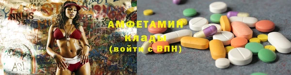 индика Осинники