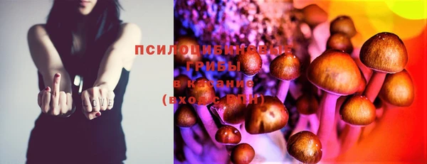 эйфоретик Нязепетровск