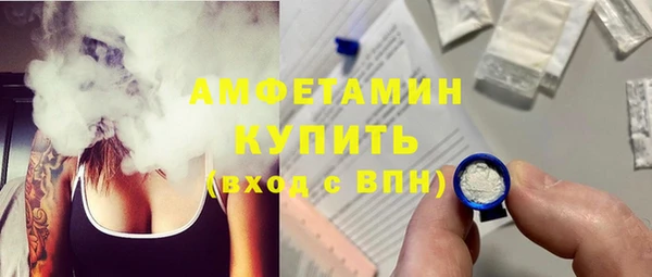 индика Осинники