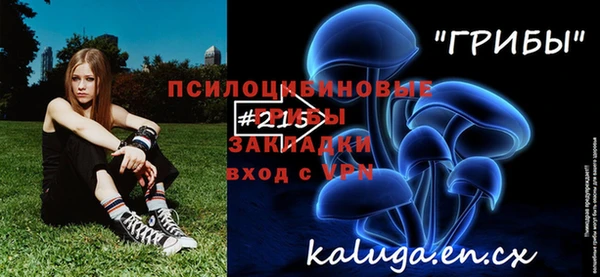 ГАЛЛЮЦИНОГЕННЫЕ ГРИБЫ Осташков