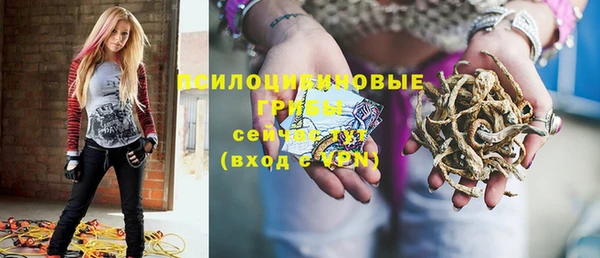 дмт Няндома