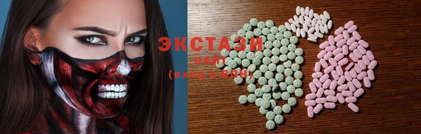 индика Осинники